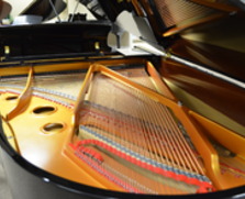 Ritmüller grand piano